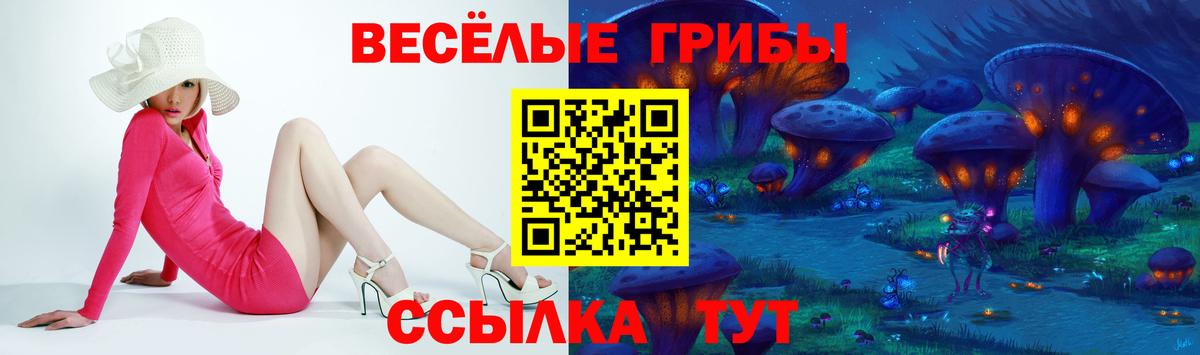 Псилоцибиновые грибы GOLDEN TEACHER  даркнет сайт  Дмитров  Вход с VPN  Галлюциногенные грибы ЛСД 